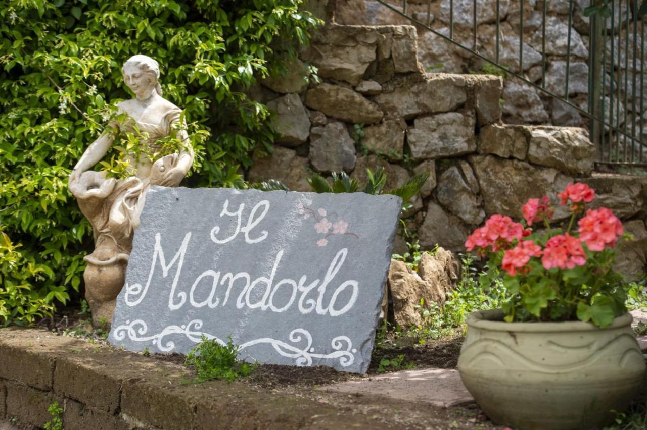 Il Mandorlo Bed & Breakfast Tramonti Bagian luar foto